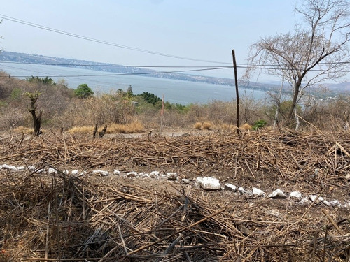 Imagen 24 de 30 de Terreno En El Tequesquitengo Morelos