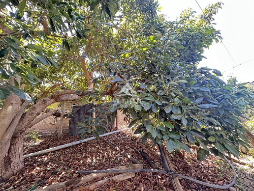 Agrícola En Venta En Vicuña