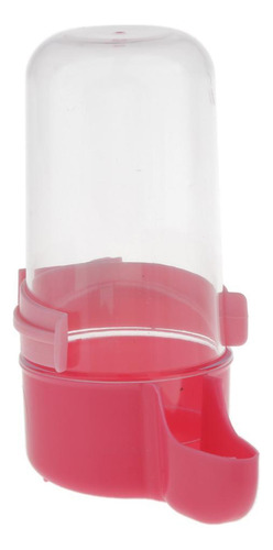 Comedero Automático Para Pájaros, Dispensador De Agua Y