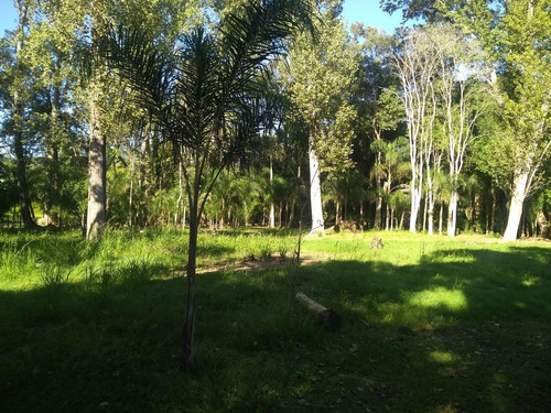 Imagen 9 de 24 de Terreno - Paraná Miní