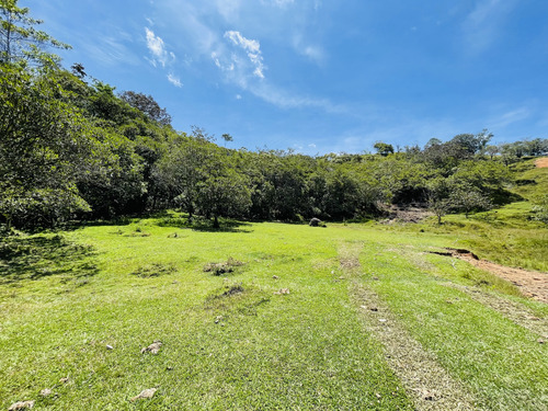 Venta De Lotes En San Roque, Antioquia 