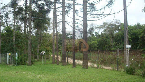 Chácara À Venda, 73.568,50m² Por R$ 1.200.000 - Imbuial - Colombo/pr - Ch0011