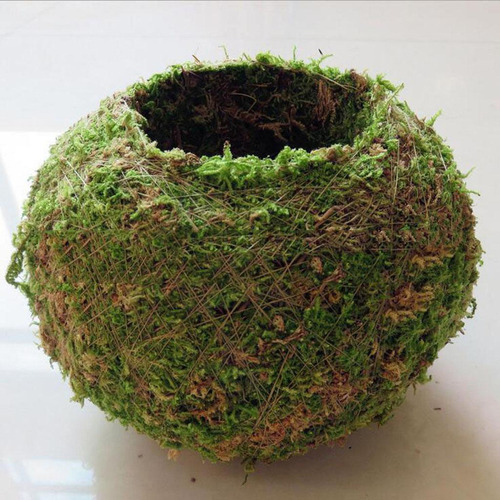 Liuyiyi Maceta De 3 Bolas Er Para Bonsái, 18 Cm
