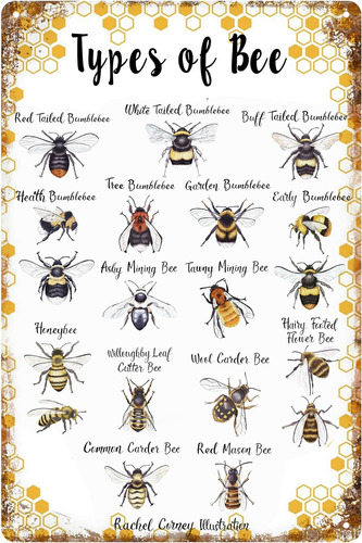 Pengbaax Vintage Bee Tin Sign Funny Types Of Bee Metal Tin S