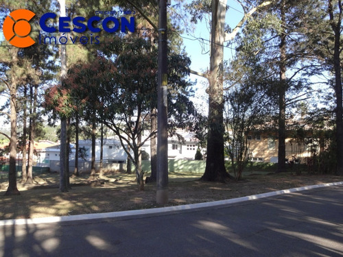 Imagem 5 de 8 de Terreno - Te00237 - 68703044