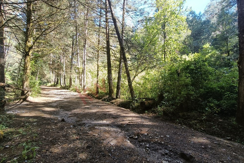 Terreno En Venta Sobre La Carretera Toluca-temascaltapec, Temascaltepec, Estado De México