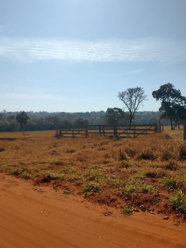 Imagem 10 de 13 de Fazenda Para Pecuária A Venda Na Região De Itapagipe / Campina Verde-mg, Com 57,5 Alqueirao, Benfeitorias Completas, Rio E Represa - Fa00395 - 70075361