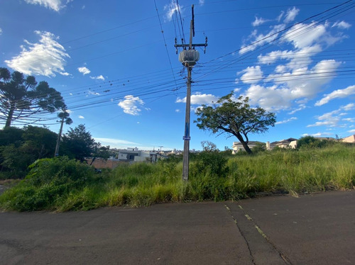 Imagem 1 de 2 de Terreno À Venda, 518 M² Por R$ 550.000,00 - Estrela - Ponta Grossa/pr - Te0217