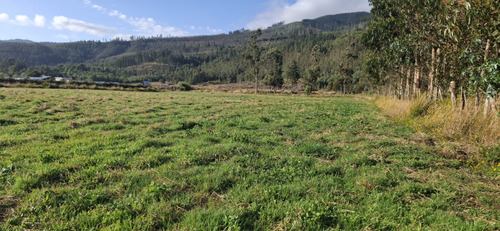 Terrenos Desde Los 5.000mts2 En Cañete