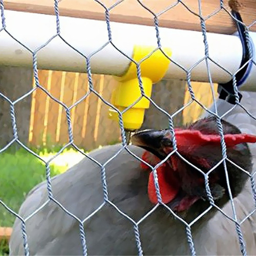L 20 Piezas Bebedor Aves De Corral Bebedor De Aves