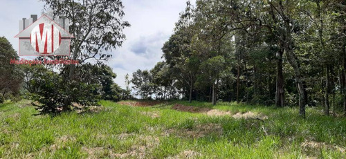 Excelente Imóvel, Todo Arborizado, Fácil Acesso, Pomar, Internet À Venda, 4693 M² Por R$ 300.000 - Pedra Bela/sp - Ch0761