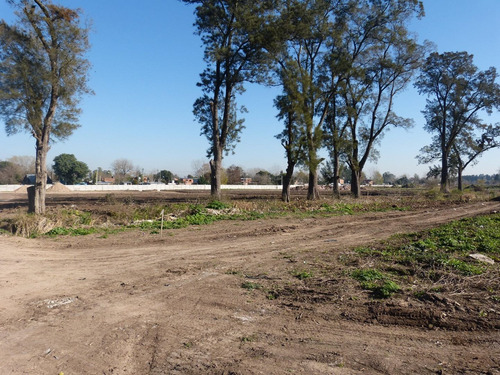 Imagen 5 de 16 de Terreno Lote En Venta Ubicado En Pinazo, Del Viso, Pilar