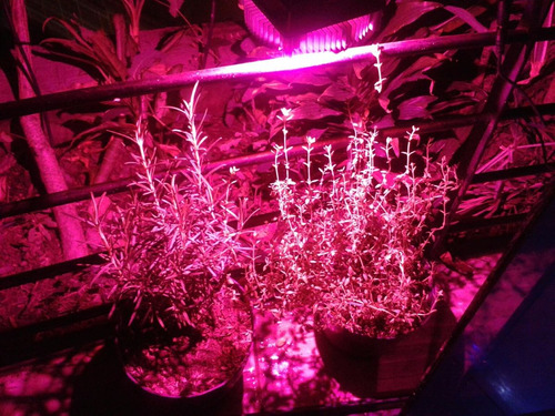 Fabricacion De Lampara Led Grow Cultivo Indoor Siembra