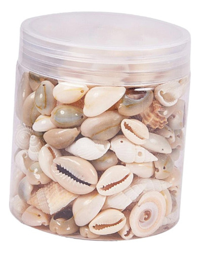 Feitiços De Artesanato Para Conchas Na Praia Do Oceano