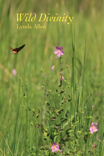 Wild Divinity, De Allen, Lynda. Editorial Peace Evolutions Llc, Tapa Blanda En Inglés