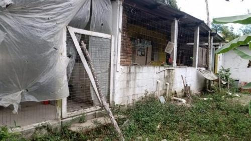 Imagem 8 de 14 de Ampla Chácara 4dorm, Itanhaém- Pq Vergara À Venda. 9606