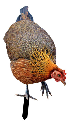Letrero De Gallina Para Jardín, Escultura Realista De A