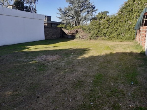 Imagen 1 de 7 de Terreno En Álvarez