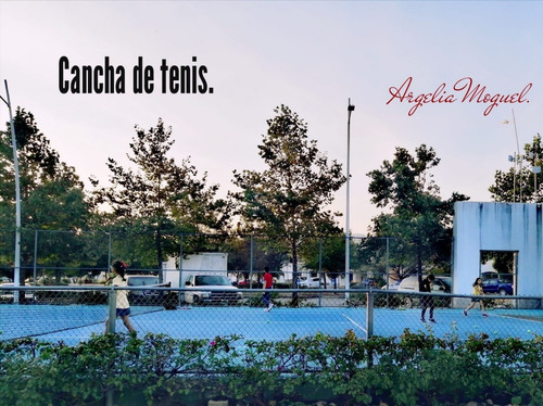 Imagen 6 de 14 de Tu Mejor Inversión Bosque Del Pedregal