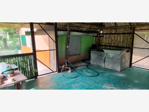 Imagen 4 de 10 de Terreno En Venta Puerto Arista
