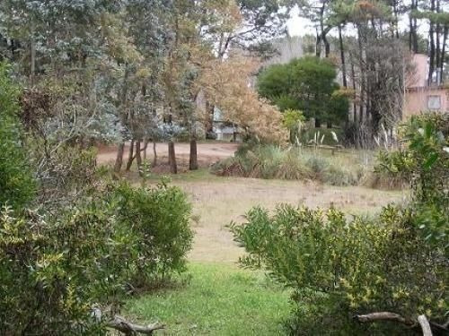 Imagen 2 de 4 de Terreno En Venta En Mar Azul