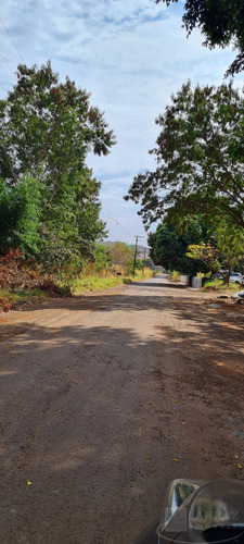 Imagem 3 de 7 de Excelente Area Industrial Para Venda Nas Margens Da Rod. Abraao Assed, Em Frente Ao Pq Dos Lagos, Com 13.576 M2, Com Poço Artesiano E Caixa Dagua - Ar00041 - 69584053