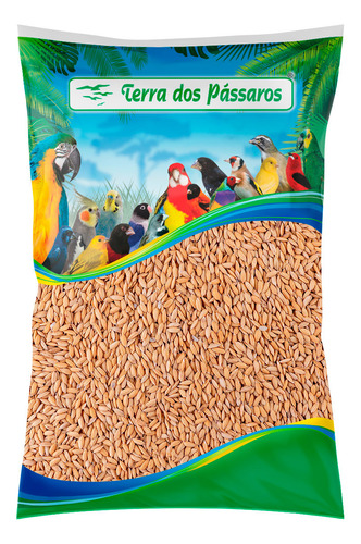 Kit 2 Unidades - Sementes De Arroz Cateto Pássaros 2,5 Kg