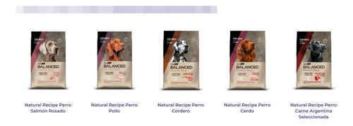 Vitalcan Balanced Perro Adulto Natural Recipe Pollo 15kg