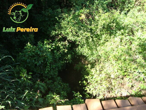 Imagem 2 de 6 de Fazenda Á Venda En Jaraguari- Ms - De 304 Hectares (pecuária) - 1761