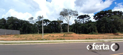 Imagem 11 de 15 de Terreno - Capela Velha - Ref: 859 - V-859