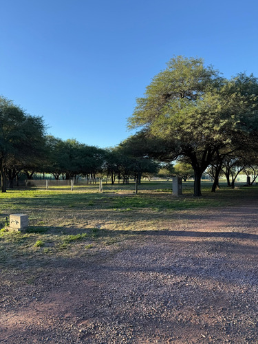 Terrenos Exclusivos En Los Aromos - Santiago Del Estero | Seguridad Y Naturaleza