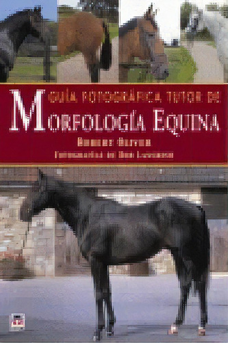 Guãâa Fotogrãâfica Tutor De Morfologãâa Equina, De Langrish, Bob. Editorial Ediciones Tutor, S.a., Tapa Dura En Español