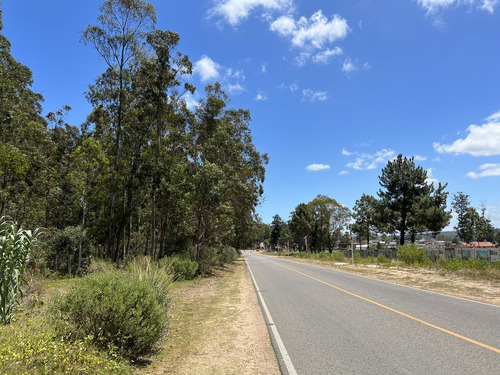 Terreno - Parque Burnett