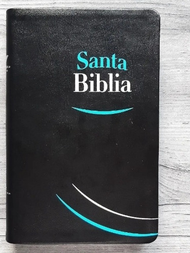 Santa Biblia