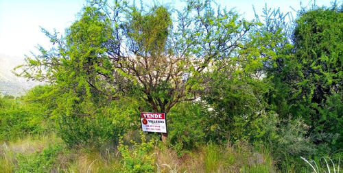 Imagen 7 de 7 de Terreno 934 M2 Venta Cortaderas San Luis