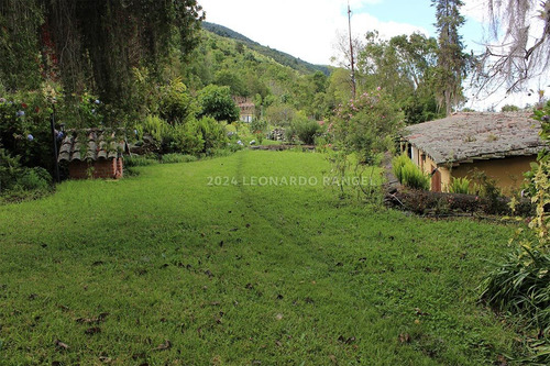 Se Vende Bella Finca De 10 Hectáreas Con Casa Colonial En Cacute Sector Santa Elena, Mérida.