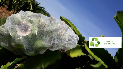 Sacos Agro Tnt C/ Elástico25x40cm Proteção Frutas 50un