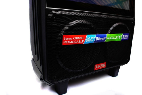 Karaoke Bocina Recargable Pantalla 14 Bluetooth Mic Usb Rec