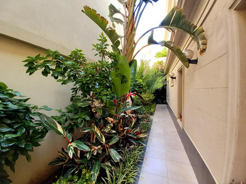 Casa Única Se Vende En Barrio Sur