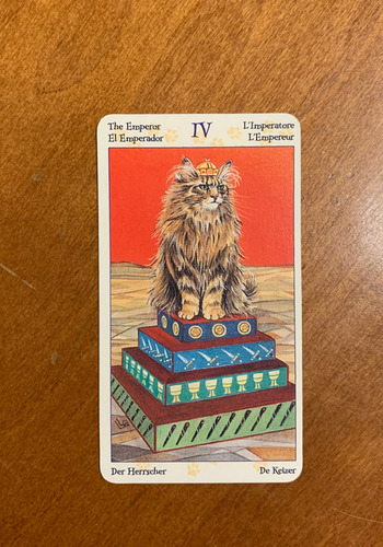 Mazo De Tarot Of Pagan Cats, 78 Cartas