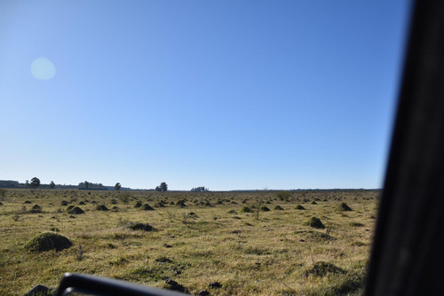 Imagen 7 de 22 de Campo Mixto En Venta Estación Yeruá