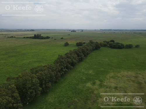 Imagen 13 de 25 de Campo Mixto De 75 Has - Buen Acceso A 3 Km De Ruta 215 - A 1 Hs De Caba