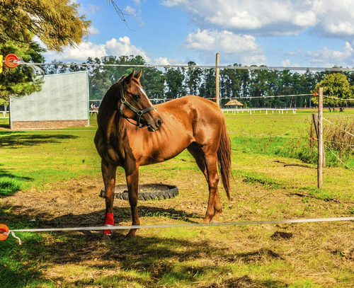 Lote A La Venta En Chacras De San Andres