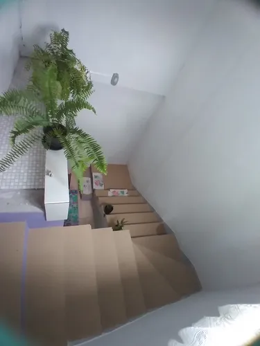Vendo Aceito Casa Ou Chácara Até 250mil