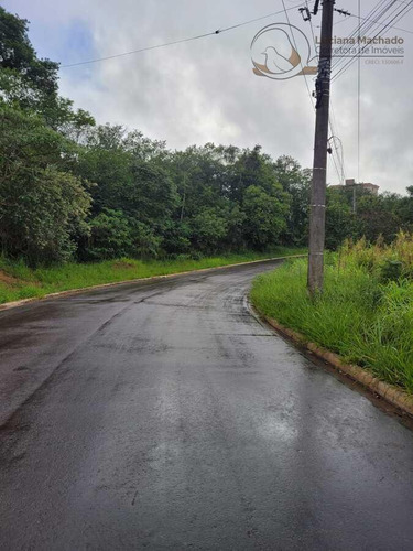 Imagem 5 de 9 de Terreno Comercial Para Venda Em Atibaia, Belvedere - Te00271_2-1412892