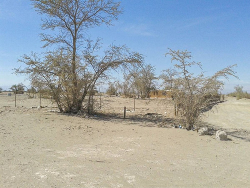 Terreno En Arriendo - Sector El Carmelo, Pueblo La Tirana