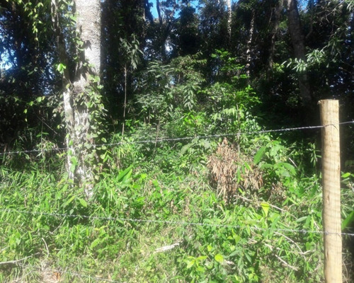 Imagem 3 de 25 de Chácara Bem Localizada; Chácara À Venda Em Juquitiba; - 96 - 32982819