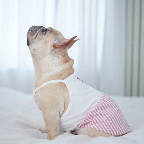 Imagem 6 de 11 de Elegante Pet Dr Filhote De Cachorro De Cachorro Saia Dr Prim