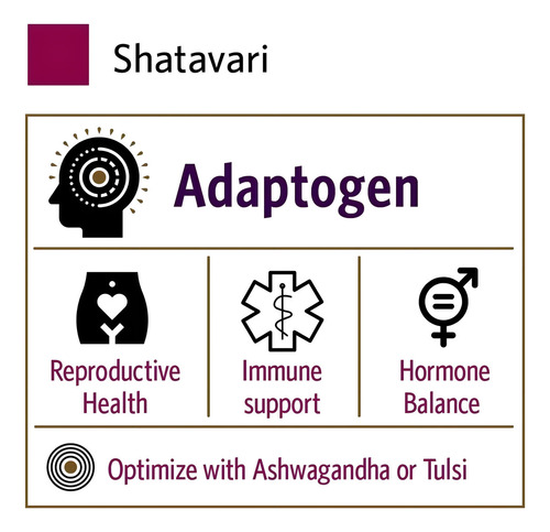 Shatavari 800mg X 90 Caps. Regulación Hormonal Organic India Sin Sabor