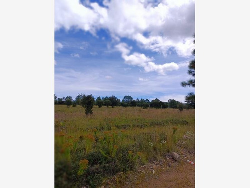 Imagen 1 de 11 de Rancho En Venta Ejido Lobos